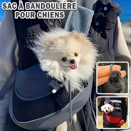 sac-pour-chien-bandouliere