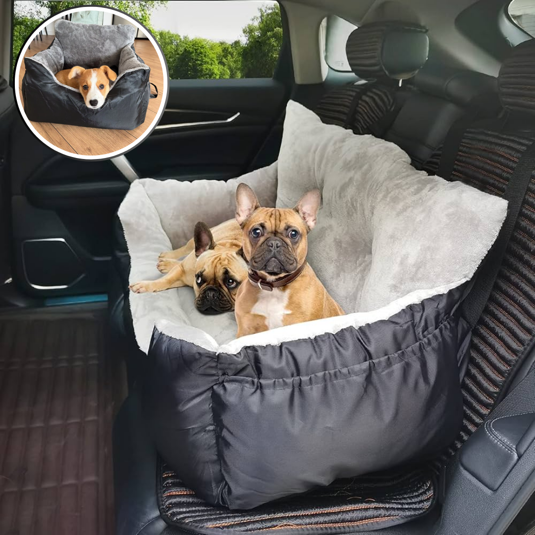 siège de voiture pour chien | DoggySafe™