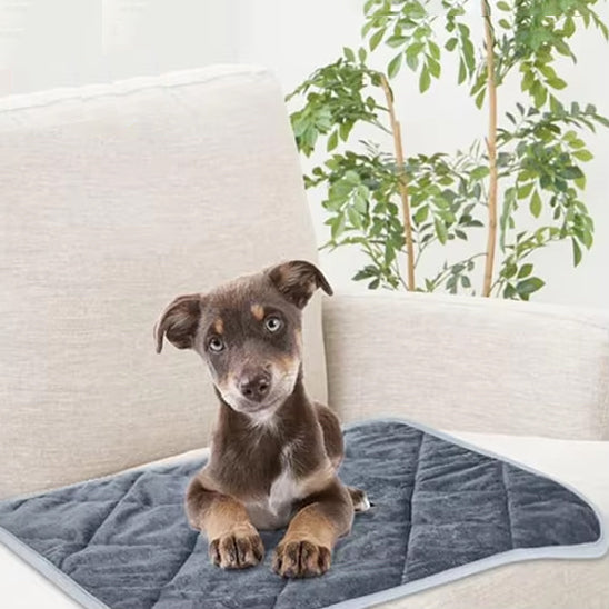tapis pour chien | ThermoPatte™