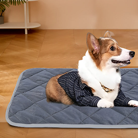 tapis pour chien | ThermoPatte™