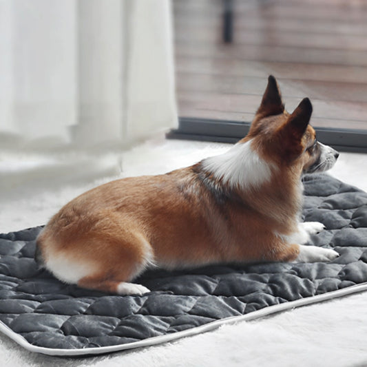 tapis pour chien | ThermoPatte™
