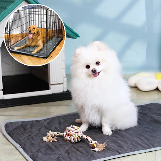 tapis pour chien | ThermoPatte™