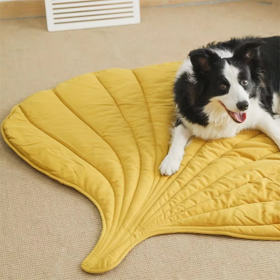 tapis pour chien xxl | Tranquili’Poils™