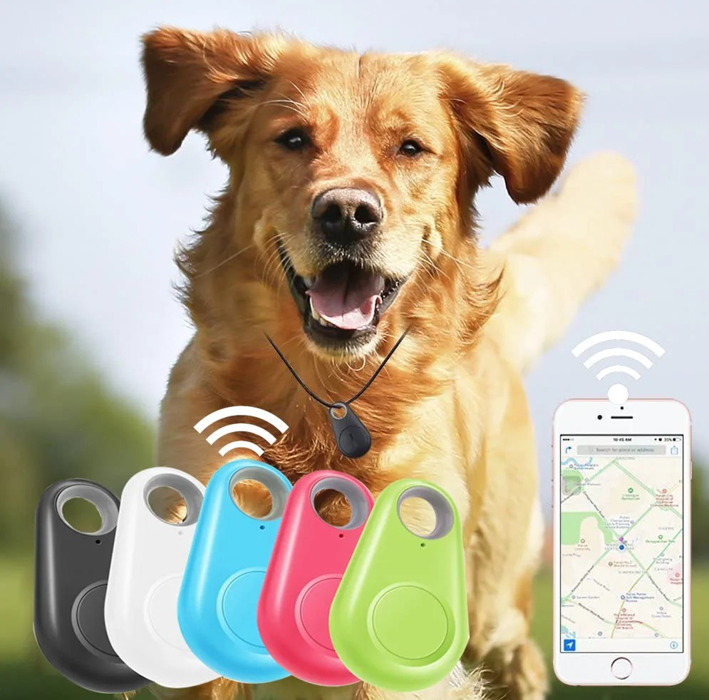 traceur gps pour chien | DoggyTrack™