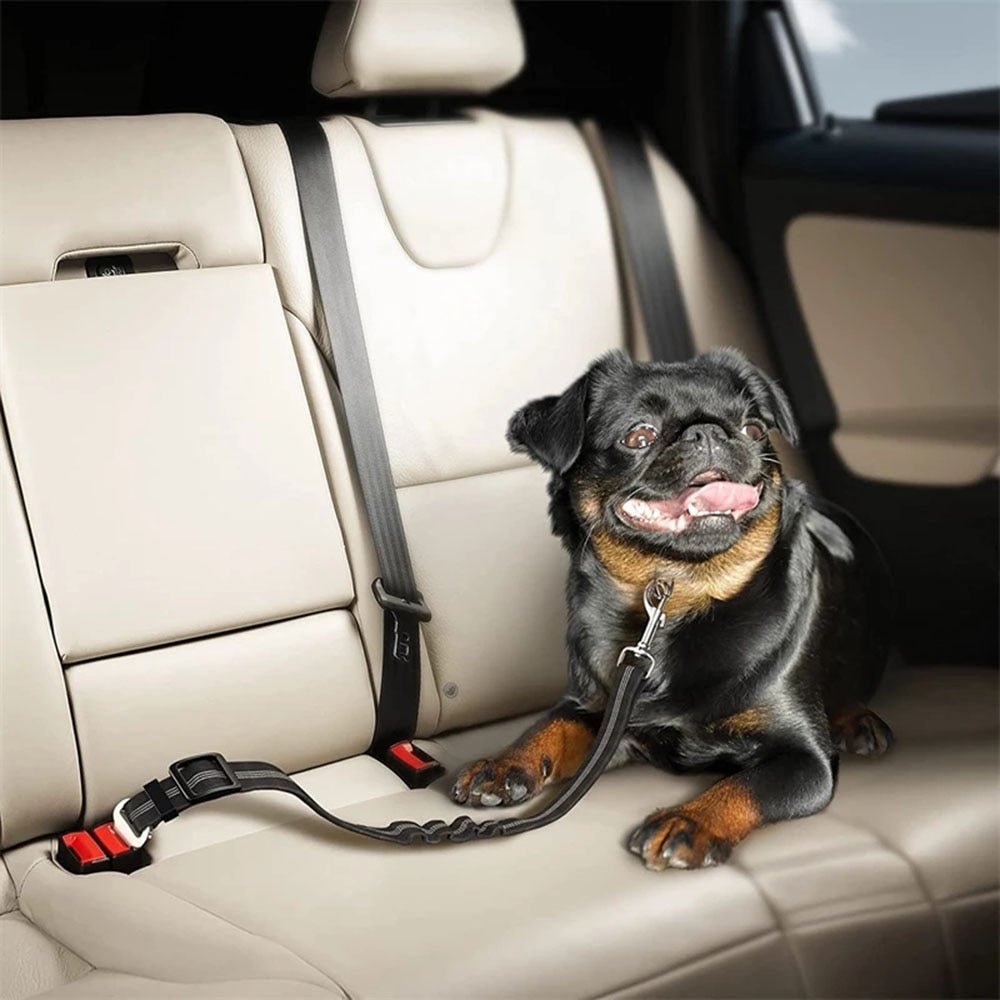 SafeTravel™ - Ceinture de sécurité - Happy Life Happy Dog